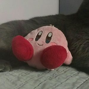 Kirby Coin Purse